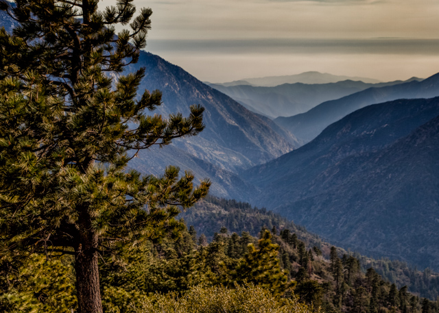 IMG_7624-Edit